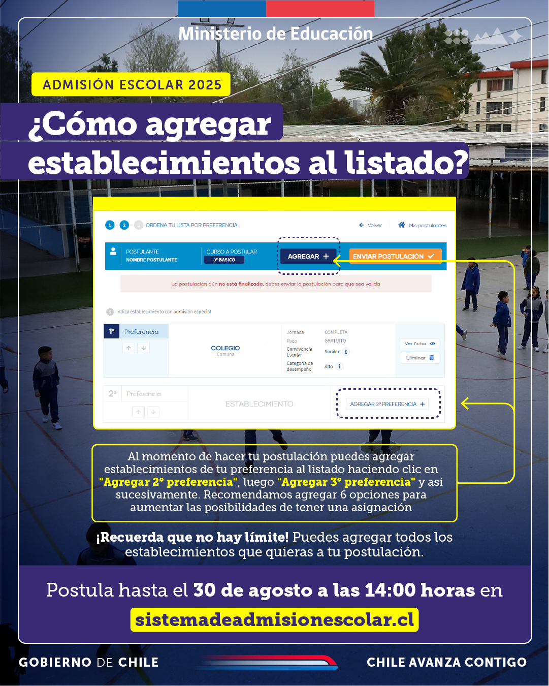 feed_copia_4